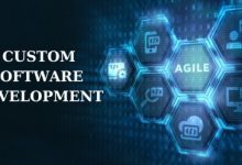 custom-software-development:-a-strategic-investment-for-business-growth