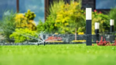 maintaining-your-lawn-in-katy,-tx:-the-importance-of-sprinklers-and-smart-lawn-care